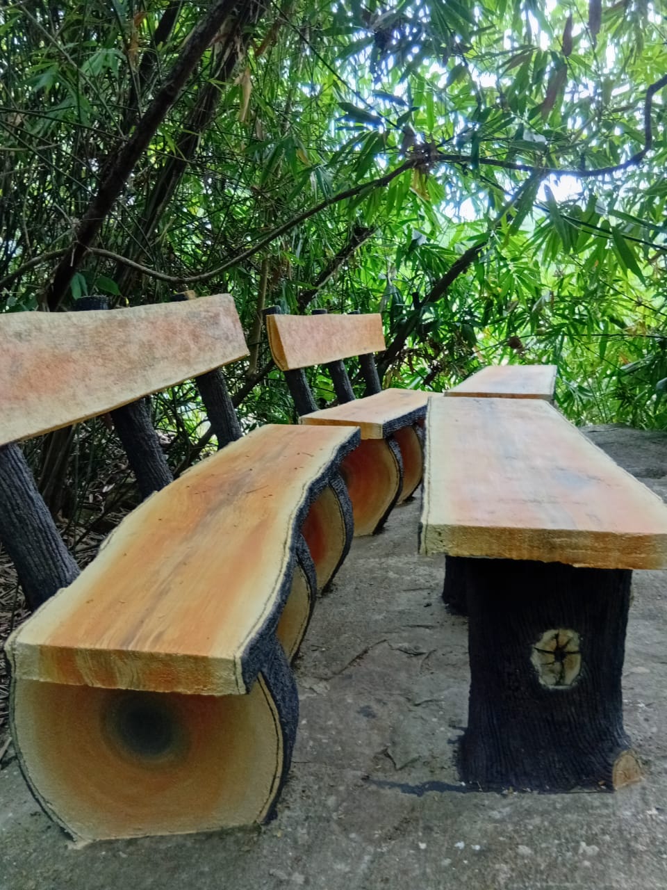 Forest Escape